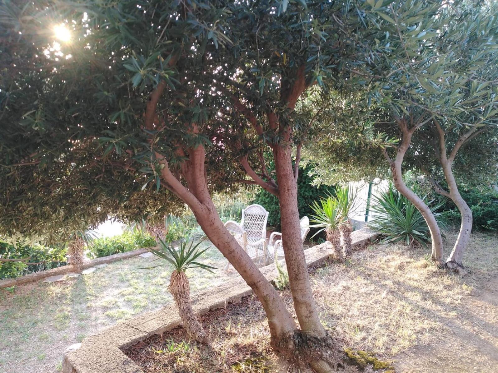 Apartment Franjo Senj  Εξωτερικό φωτογραφία